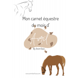copy of Carnet équestre...