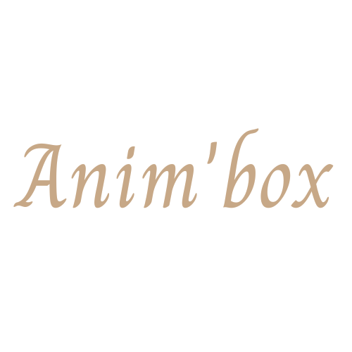 Anim'box